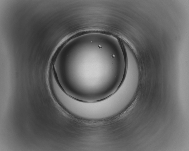 X0000112931085200908311312