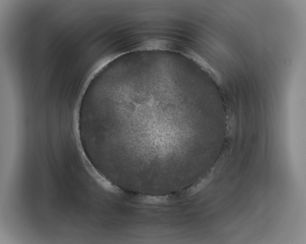 X0000112931086200908311312