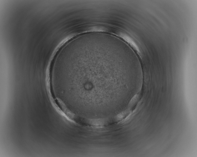 X0000112931088200908311312