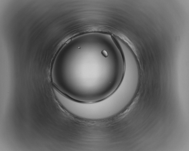 X0000112931089200908311312