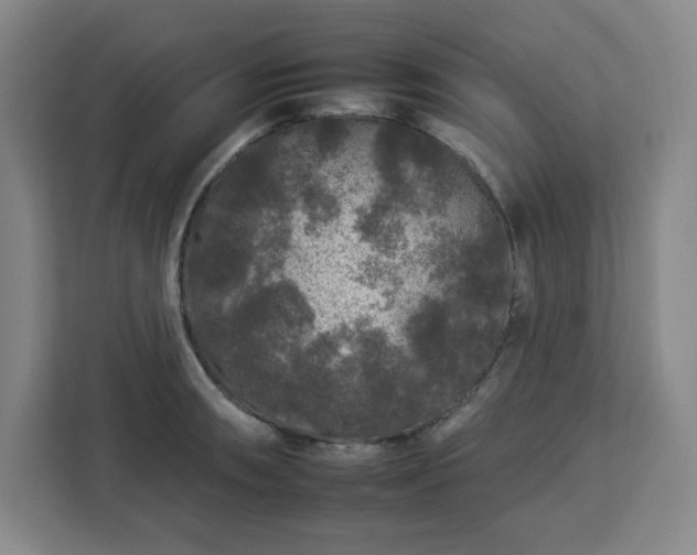 X0000112931090200908311312