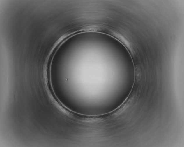 X0000112931091200908311312