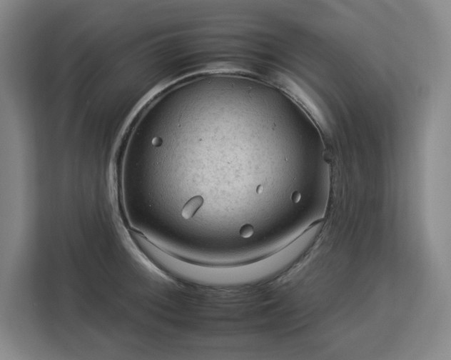 X0000112931092200908311312