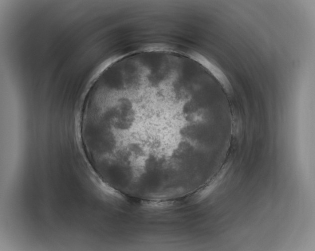 X0000112931094200908311312