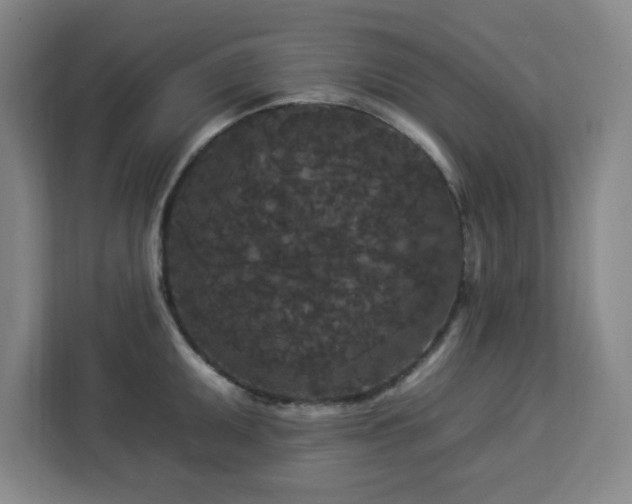 X0000112931095200908311312