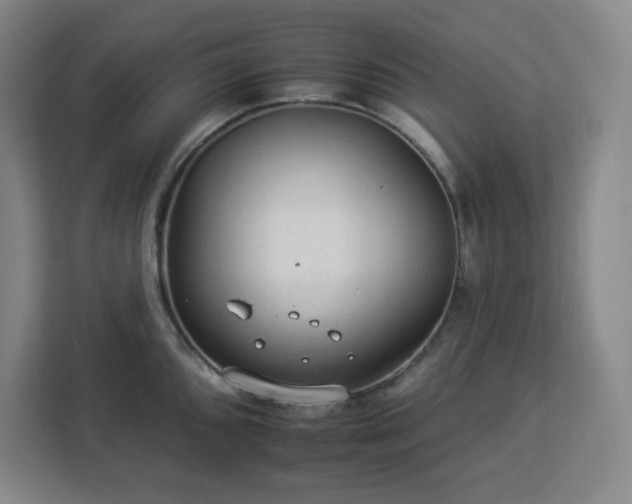 X0000112931096200908311312