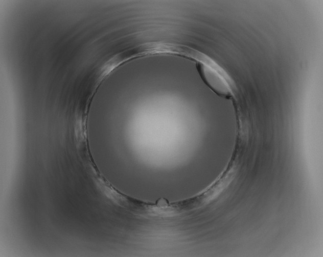 X0000112931097200908311312