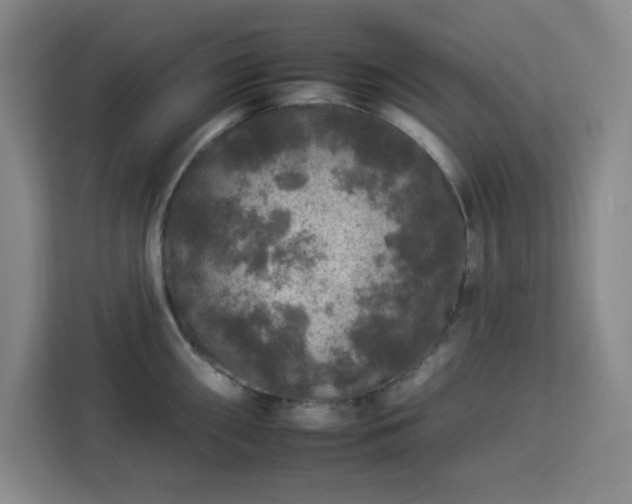 X0000112931098200908311312