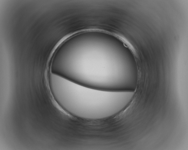 X0000112931100200908311312