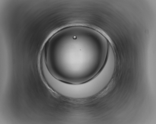 X0000112931101200908311312