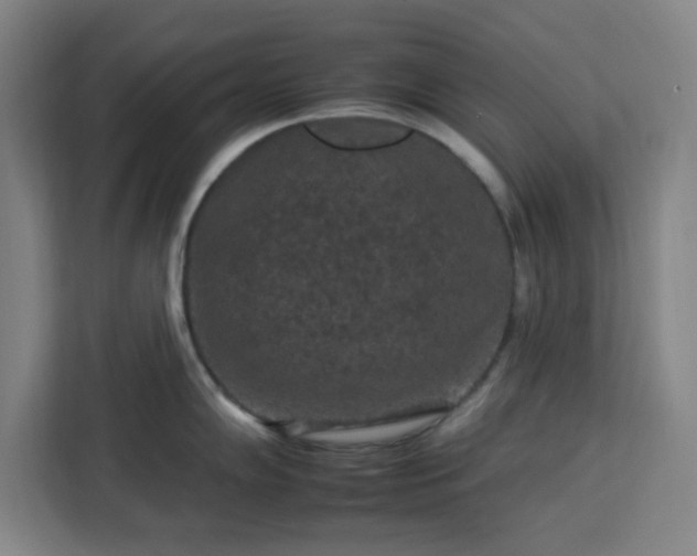 X0000112931102200908311312