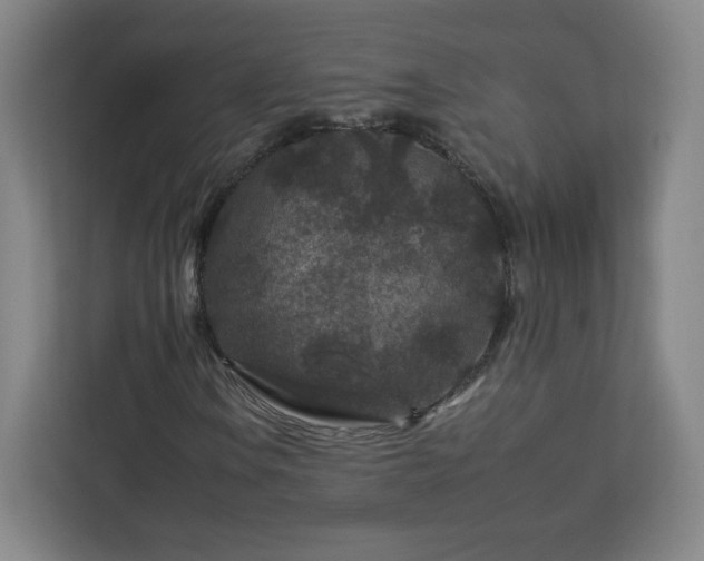 X0000112931106200908311311