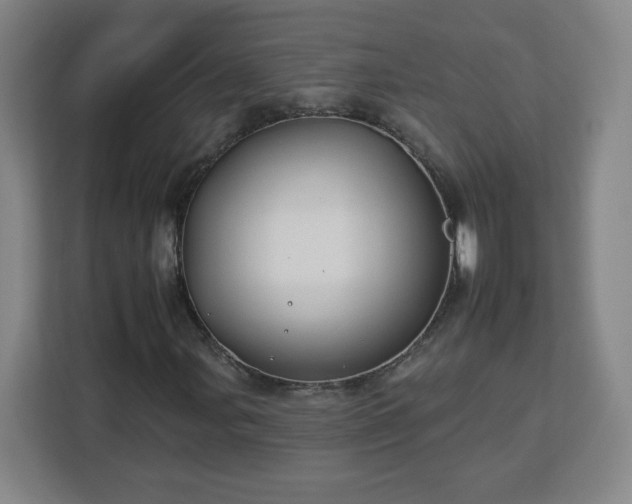 X0000112931107200908311311