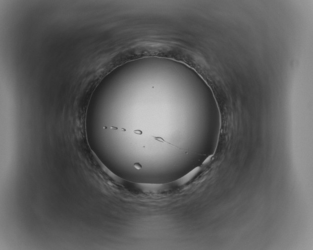 X0000112931109200908311312