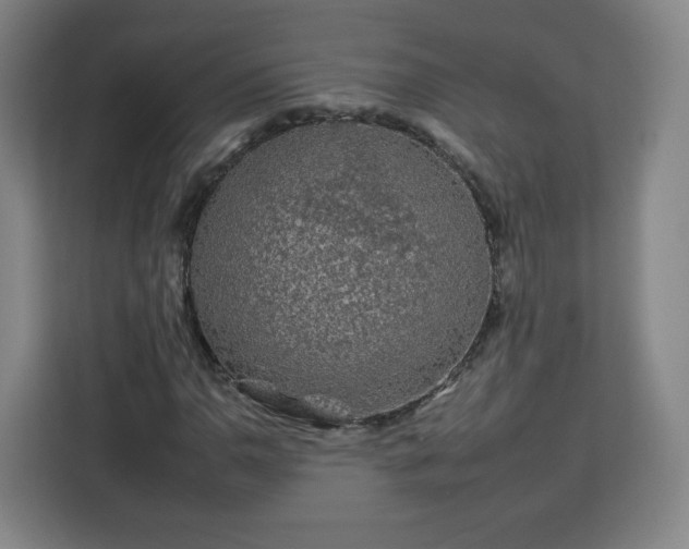 X0000112931110200908311312