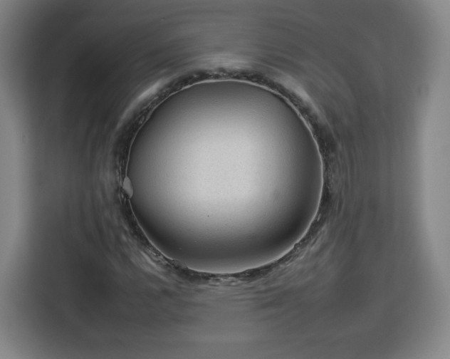 X0000112931112200908311312