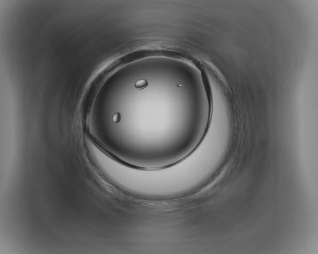 X0000112931114200908311312