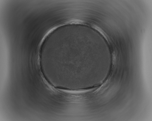 X0000112931115200908311312