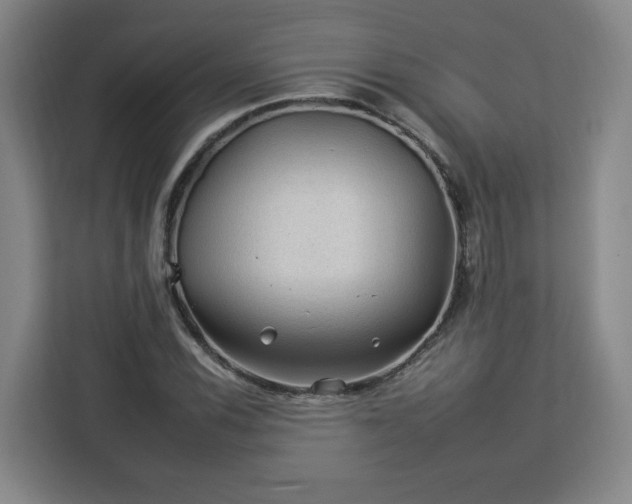 X0000112931116200908311312