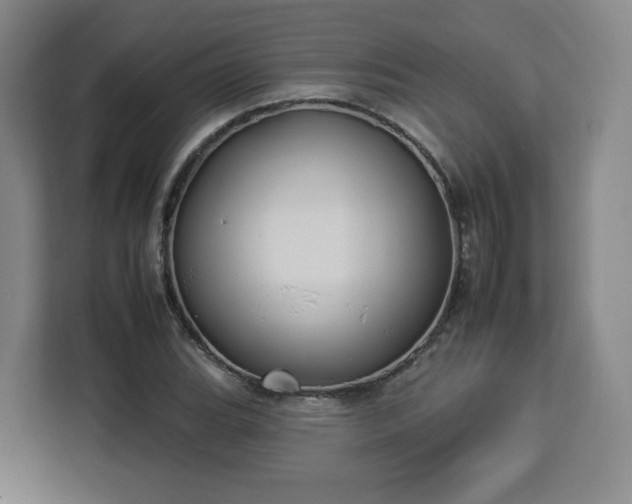 X0000112931119200908311312