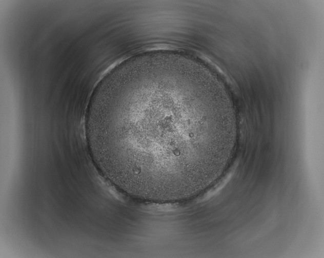 X0000112931121200908311312