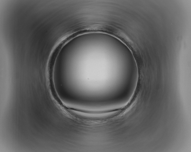 X0000112931122200908311312