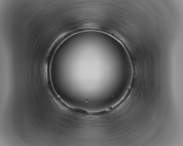 X0000112931123200908311312