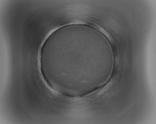 X0000112931124200908311312