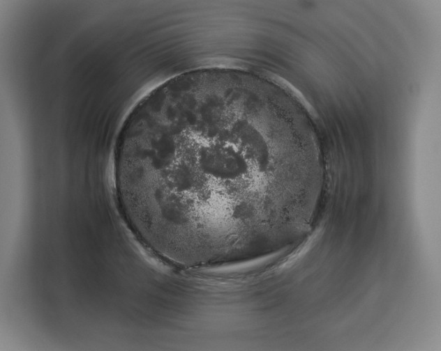 X0000112931125200908311312