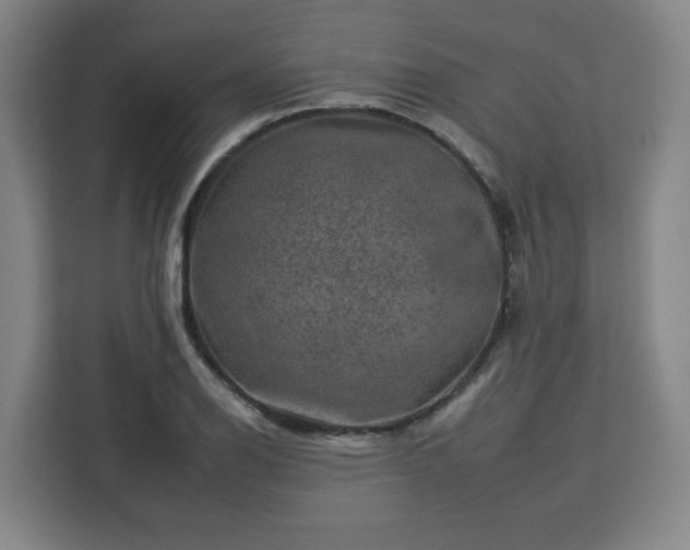 X0000112931126200908311312