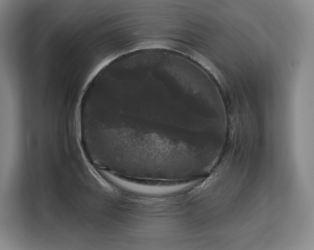 X0000112931127200908311312