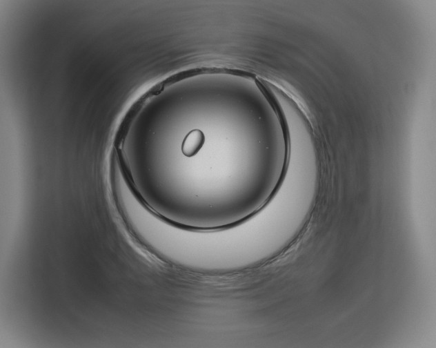 X0000112931128200908311312