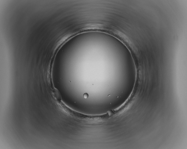 X0000112931129200908311312