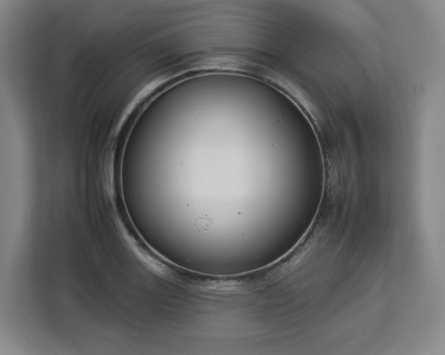 X0000112931131200908311312