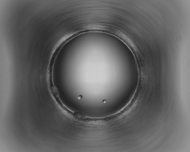 X0000112931133200908311312