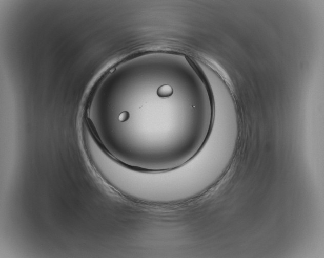 X0000112931138200908311312