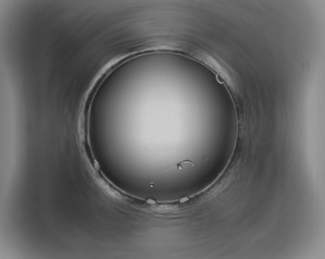 X0000112931140200908311312