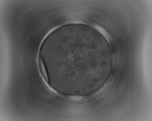 X0000112931141200908311312