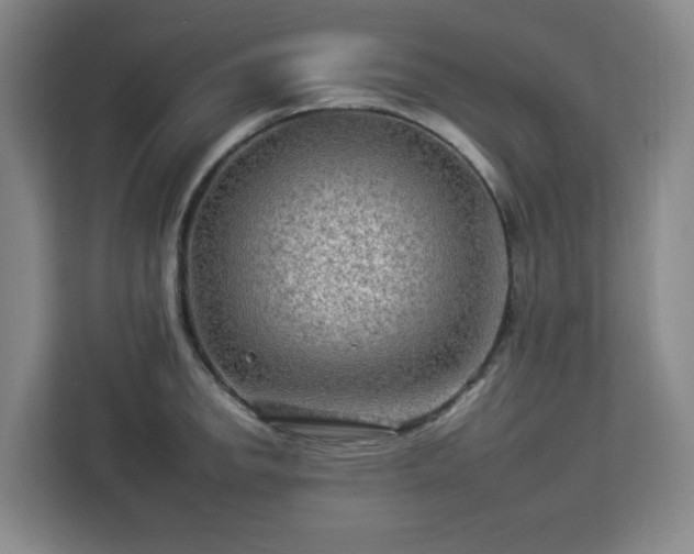 X0000112931142200908311312