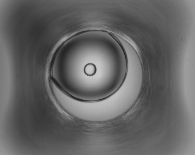 X0000112931144200908311312