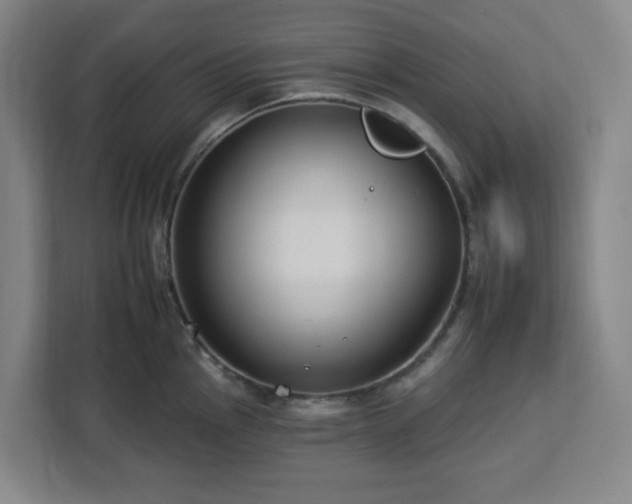 X0000112931145200908311312