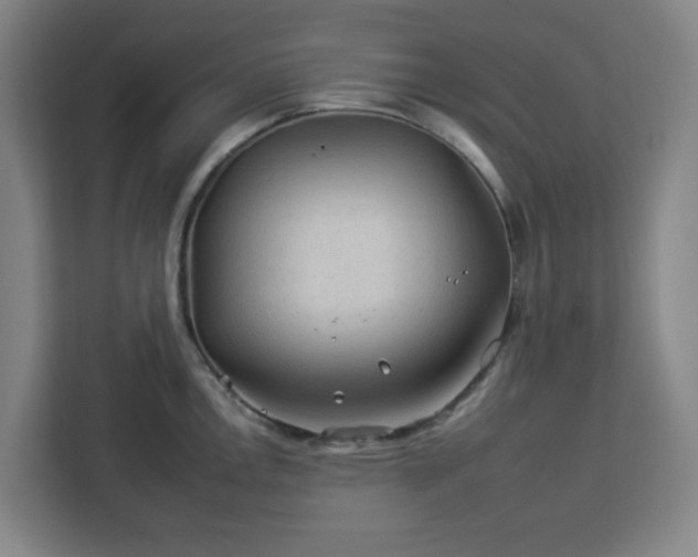 X0000112931146200908311312