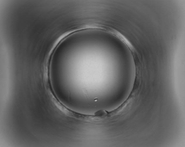 X0000112931148200908311312