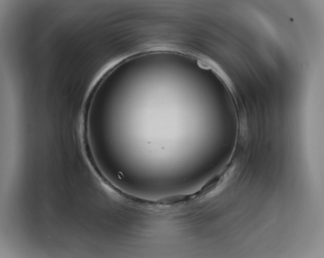 X0000112931149200908311312