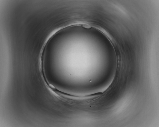 X0000112931151200908311312