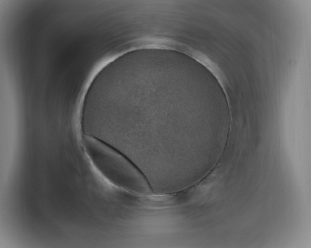 X0000112931152200908311312