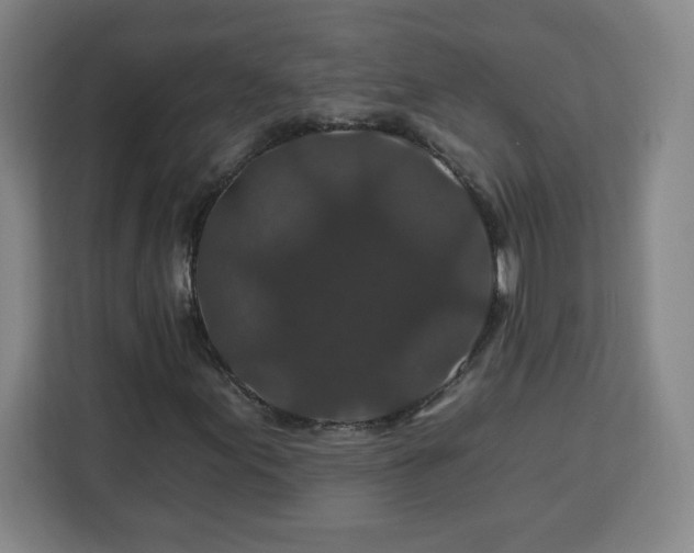 X0000112931155200908311311