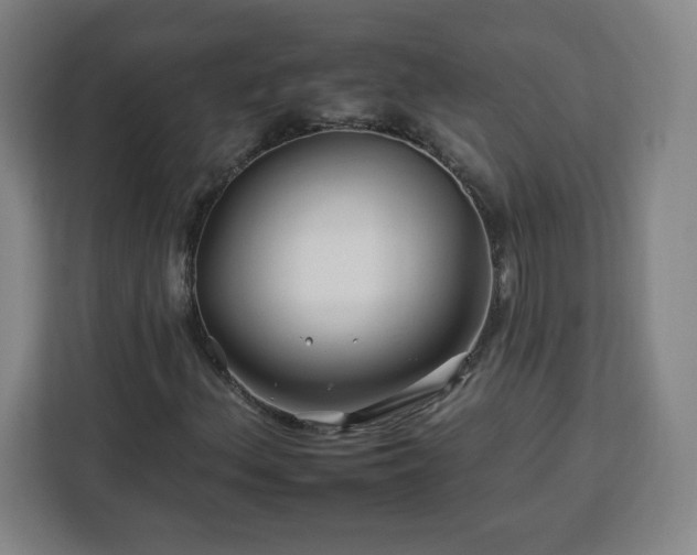 X0000112931156200908311311