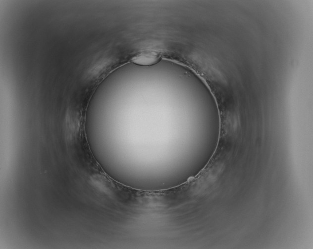 X0000112931157200908311311