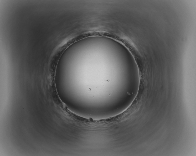 X0000112931159200908311311